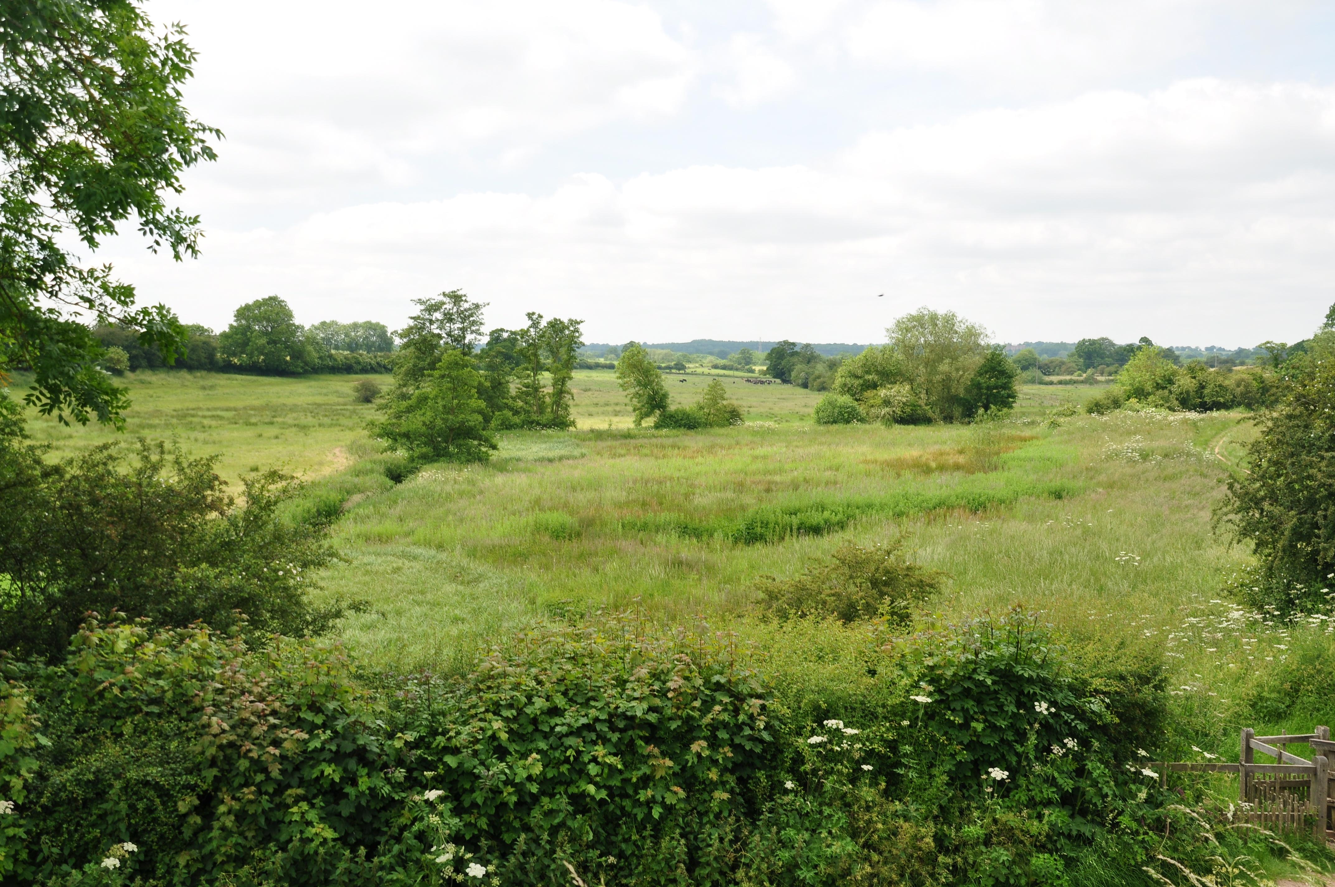 The Pleasance moated site