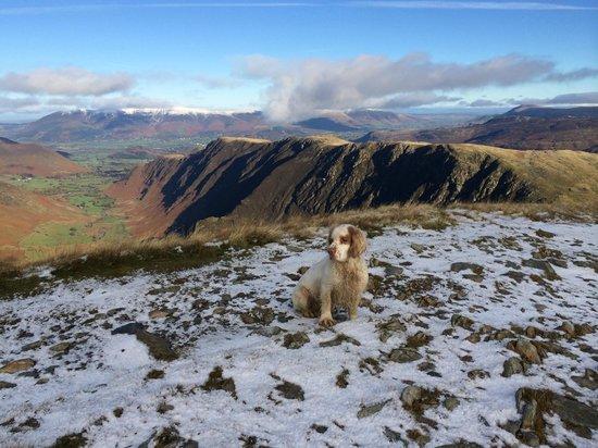 Central Fells