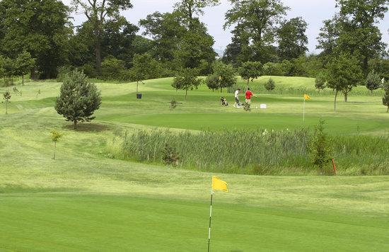South Staffordshire Golf Club Academy