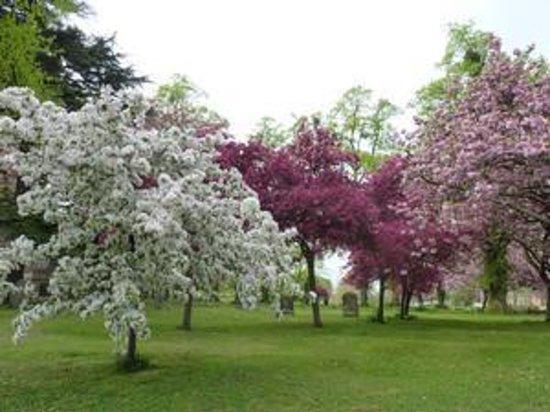 Blossom Trail