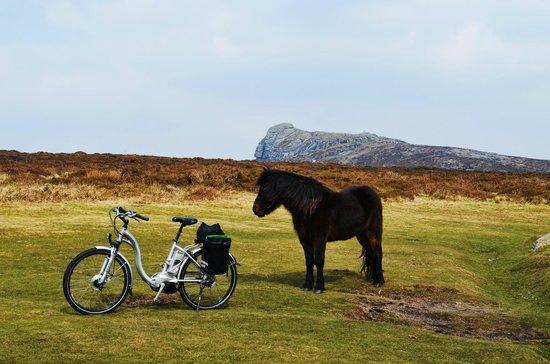 Dartmoor Electric Bicycles