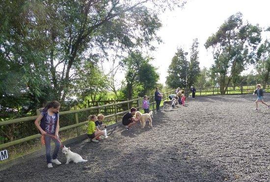 Willow Farm Holidays