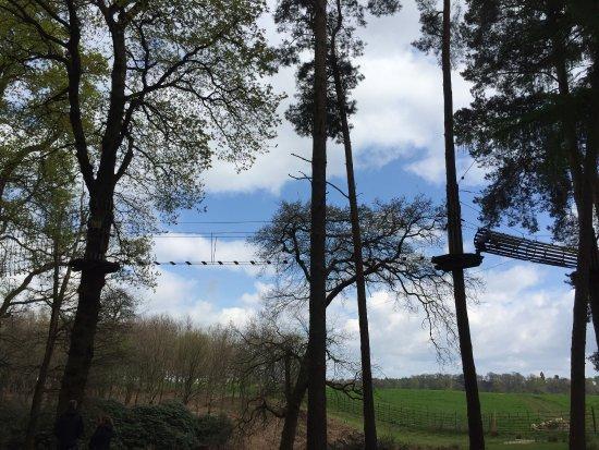Go Ape