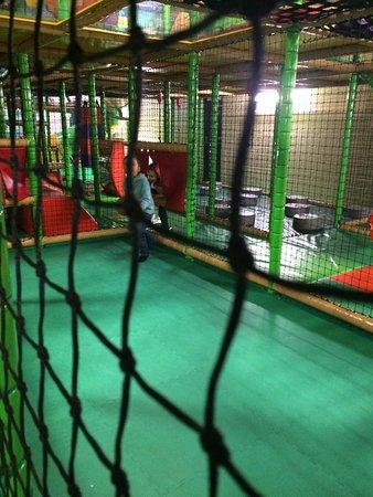 Treetops Activity Centre