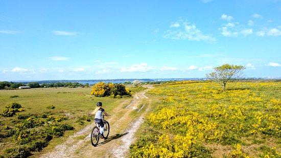 Cyclexperience