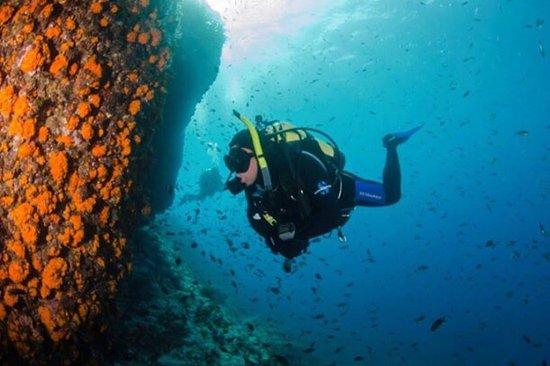 West Country Divers