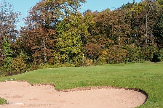 Norwood Park Golf Course