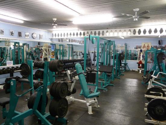 Fitness and Physique Gymnasium