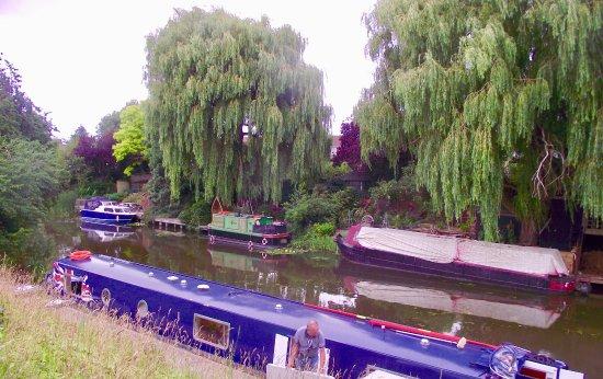Narrow Waters Luxury Cruises