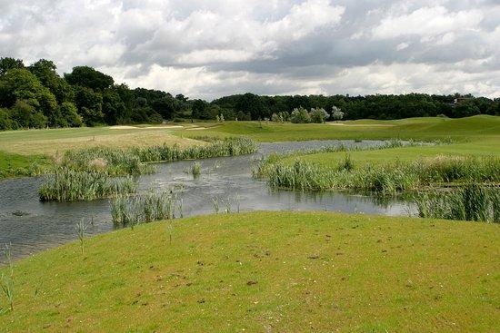 Playgolf Colchester