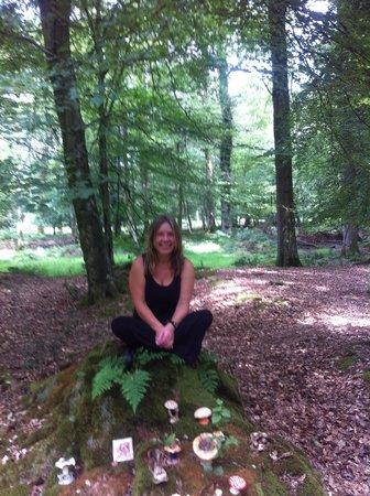 The Angie McBride Studio