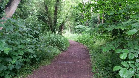 Finedon Pocket Park