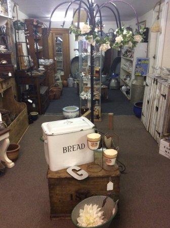 Over The Garden Wall Emporium