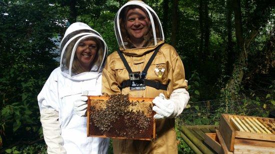 Honey Bee Haven