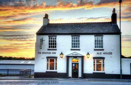 The Dolphin
