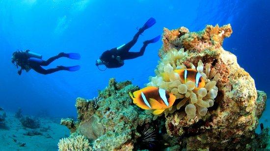 Kent Scuba