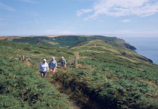South West Coast Path - Bolberry Down