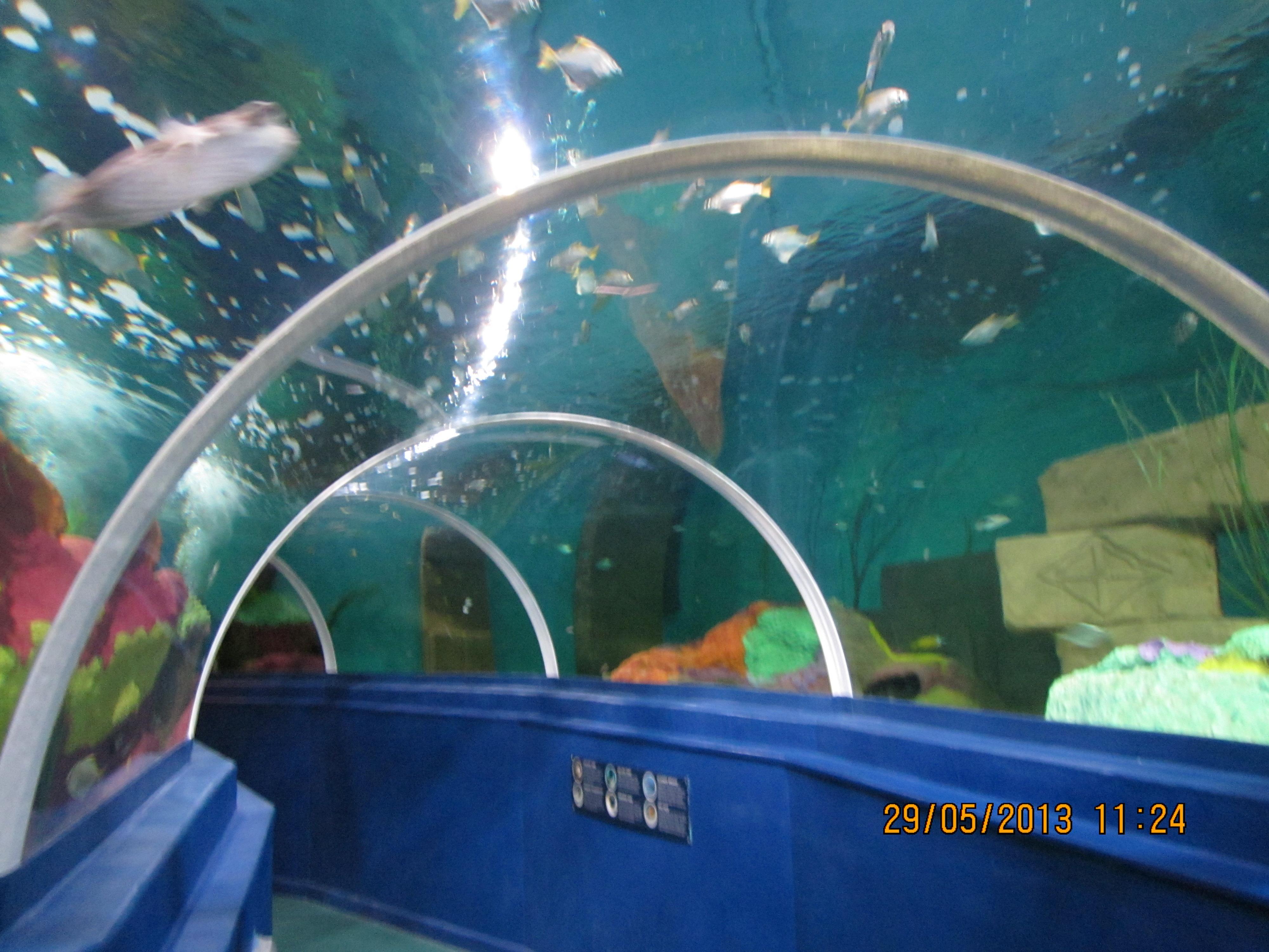 Blue Reef