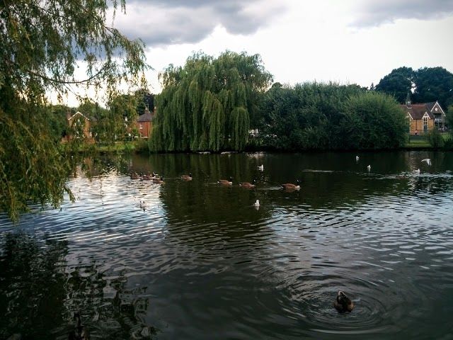 Hersham Riverside Park