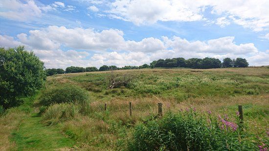 Snipe Dales Country Park & Nature Reserve