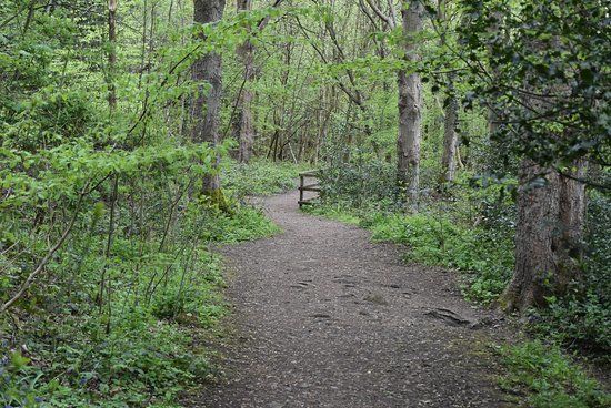 Birk Crag