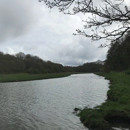 Holywell Dene