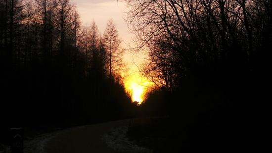 Wakerly Woods
