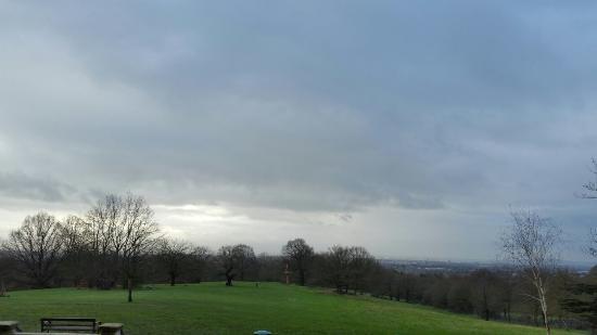 Bedfords Park