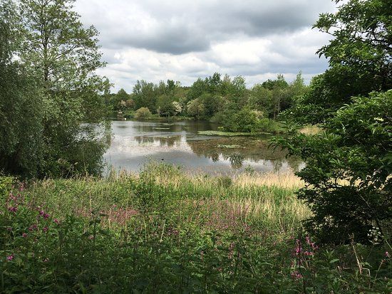 Longton Brickcroft Nature Reserve