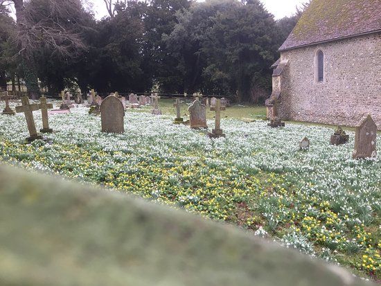 Parish Church Of St Botolph