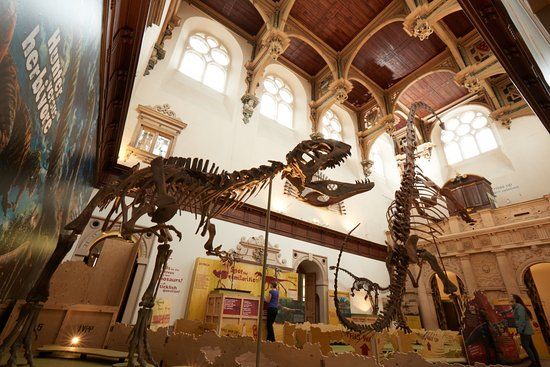 Dinosaurs of China