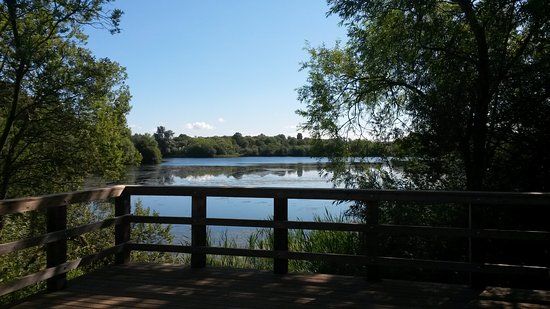 Nene Wetlands