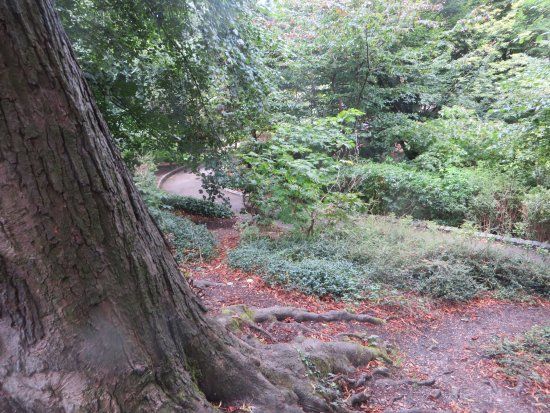 Bromley Park