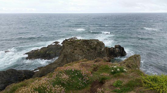 The Bantham to Thurlestone Circular Walk