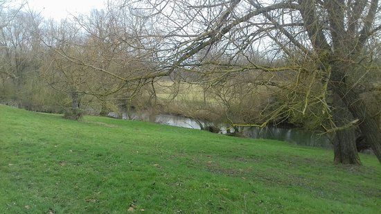 Pavenham Osier Beds