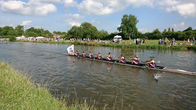 Ditton Meadows