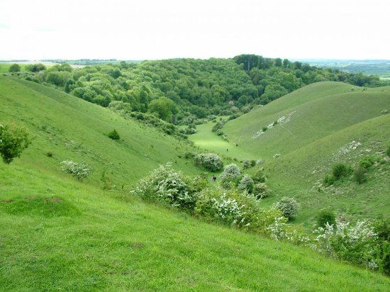 The Barton Hills National Nature Reserve
