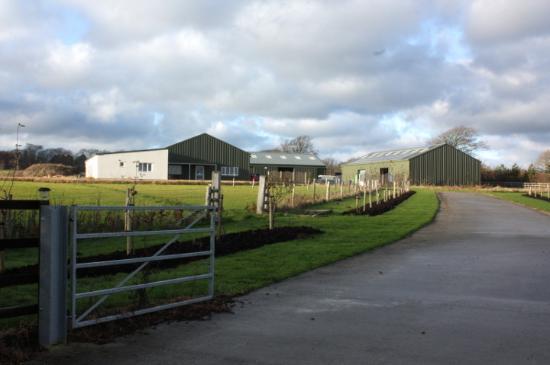Blackbury Honey Farm