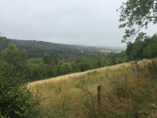 Hutchinson's Bank