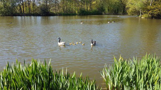 Biddulph Grange Country Park