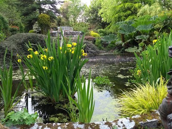 The Homestead Woodland Garden