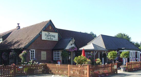 The Fighting Cocks