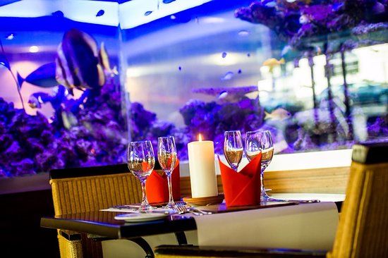 Seven Seas Brasserie & Castaway Bar