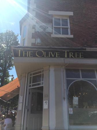 The Olive Tree