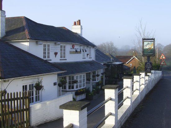 Hare and Hounds