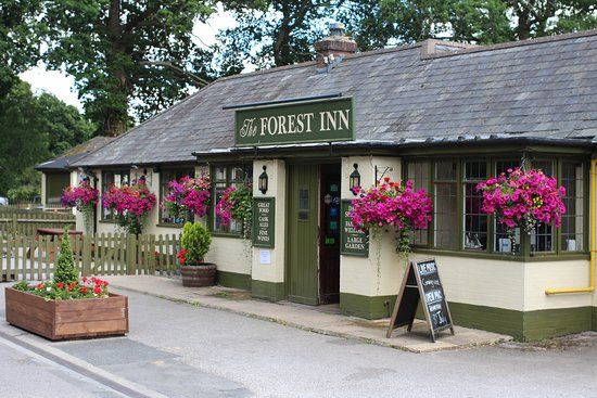 The Forest Inn Ashurst