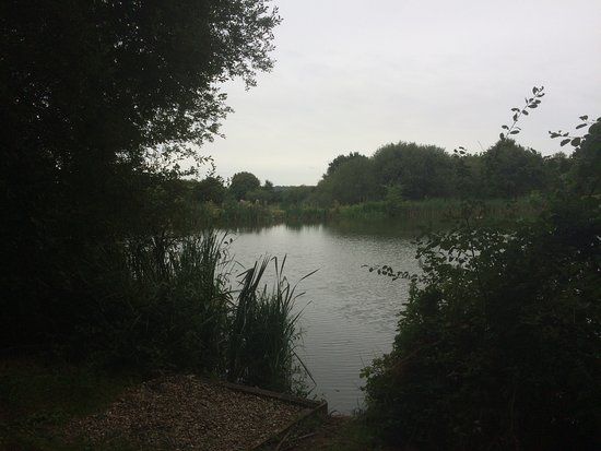Alders Farm Fishery