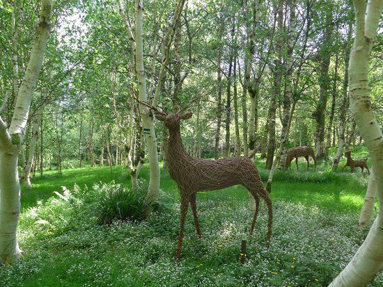 Stone Lane Gardens