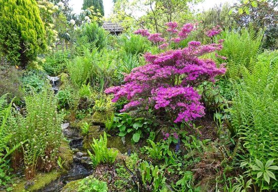 Plant World Gardens & Nursery