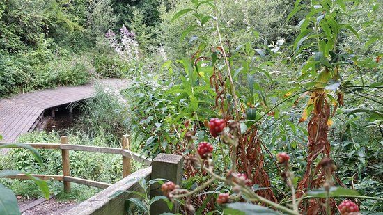 Gunnersbury Triangle
